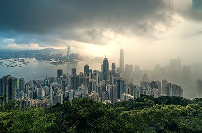别踩坑！2026年香港公司更换董事收费明细一次性讲清